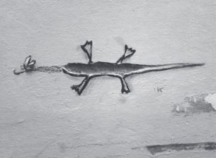 Grafiti, 2018. Florencia
